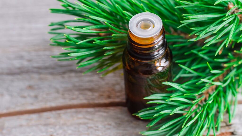Dr Giorgini Olio Essenziale Di Pino Silvestre Puro 100% - 10 Ml
