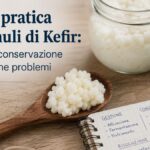 Granuli di kefir di latte freschi per la fermentazione casalinga