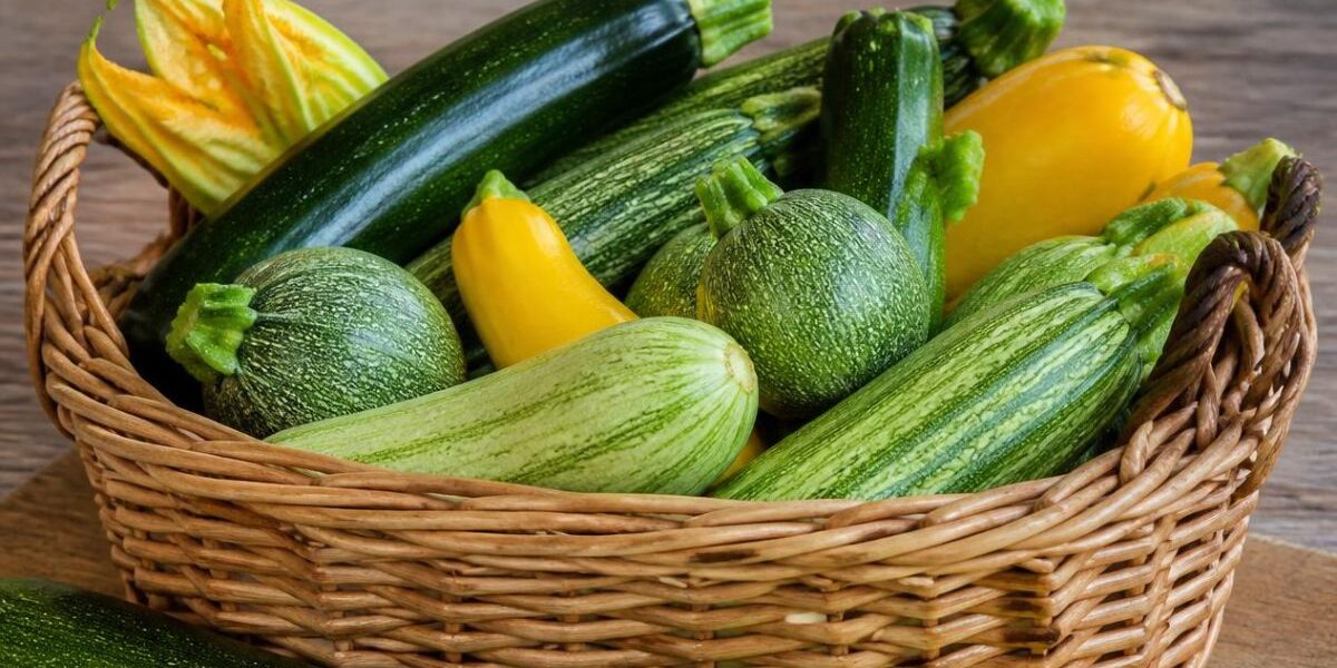 zucchine fresche di stagione: proprietà e ricette
