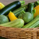 zucchine fresche di stagione: proprietà e ricette