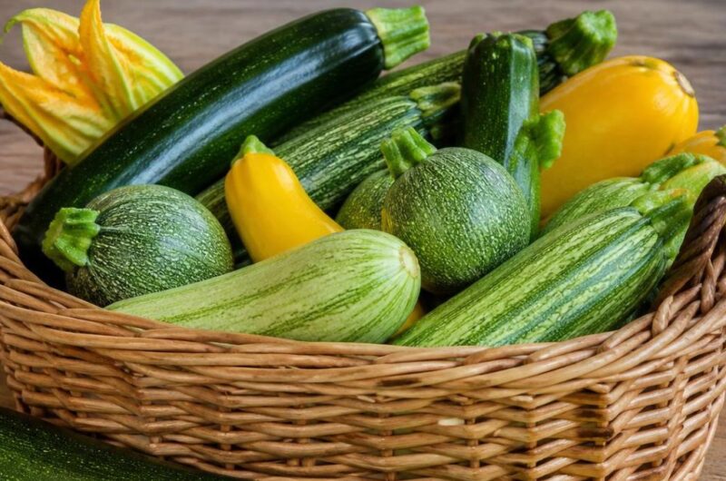 zucchine fresche di stagione: proprietà e ricette